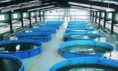 既要養好魚，又要護生態 一文秒懂《工廠化水產養殖系統》安裝指南