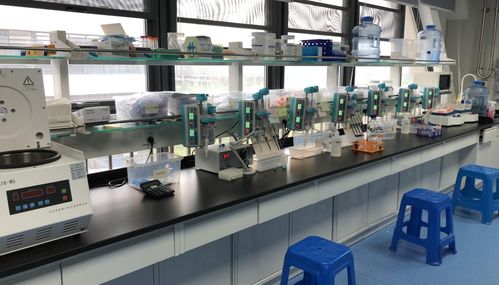 早篩新星天浚元生生物獲國高生物戰投，開啟健康與環?？缃鐒撔?></a></div>
<div   id=